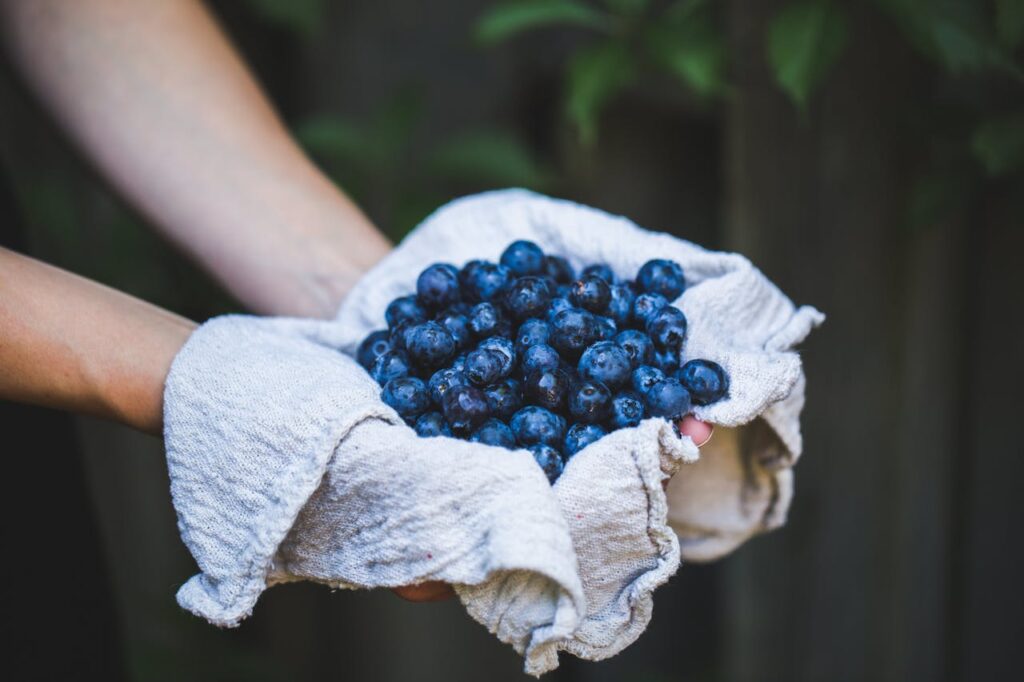 top brain food for students berries